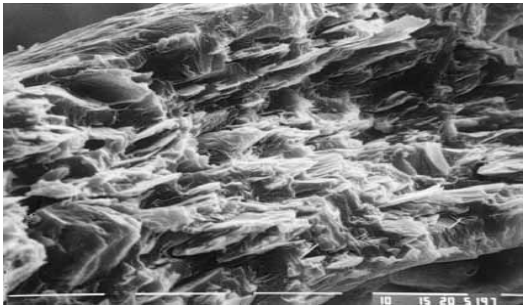 Sección transversal de micrografía electrónica del recubrimiento de un fertilizante de liberación controlada. El diámetro del gránulo aproximadamente 2-3 mm y el espesor de la película de 50-60μm. (Foto: Chissoasahi, 2007).