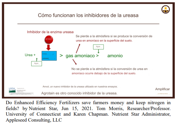 Do Enhanced Efficiency Fertilizers save farmers money and keep nitrogen in fields? by Nutrient Star, Jun 15, 2021. Tom Morris, Researcher/Professor. University of Connecticut and Karen Chapman. Nutrient Star Administrator, Appleseed Consulting, LLC