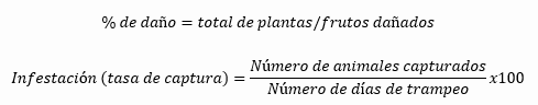 Control de Roedores en la Agroindustria: Estrategias y Resultados - Image 9