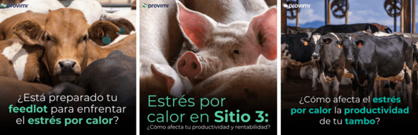 Cómo controlar el estrés por calor en establecimientos productivos - Image 1