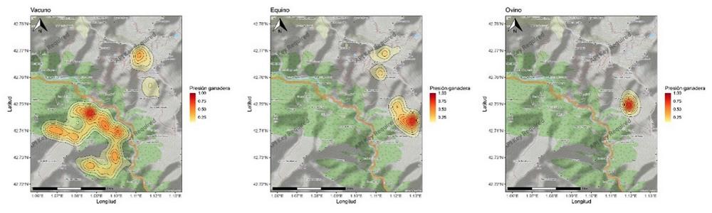 Gestión del ganado extensivo con collares de geolocalización - Image 2