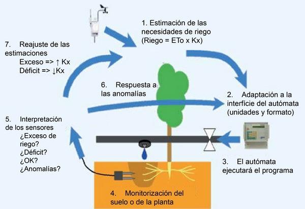 Lógica del control del riego - Image 2