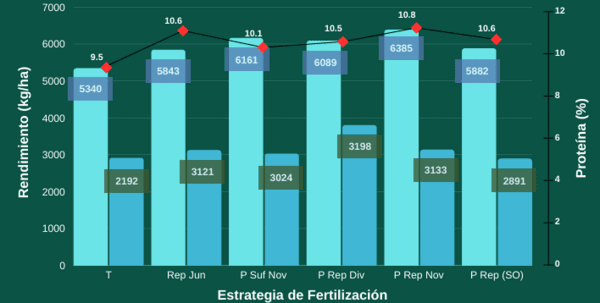 CONVENIENCIA ECONÓMICA DE LA FERTILIZACIÓN FOSFORADA EN SOJA - Image 2