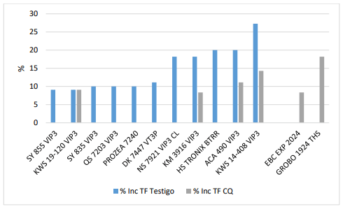 Gráfico 12. Incidencia (%) de Tizón foliar