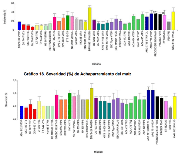  Gráfico 17. Incidencia (%) de Achaparramiento del maíz