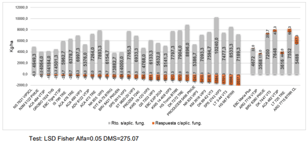 Gráfico 20. Rendimiento de grano y respuestas al control químico