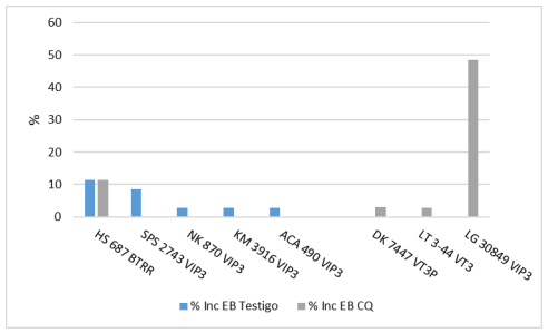 Gráfico 8. Incidencia (%) de Estriado bacteriano