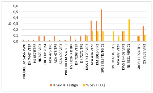 Gráfico 5. Severidad (%) de Tizón foliar