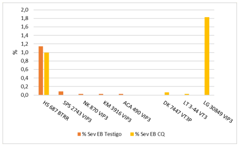 Gráfico 9. Severidad (%) de Estriado bacteriano