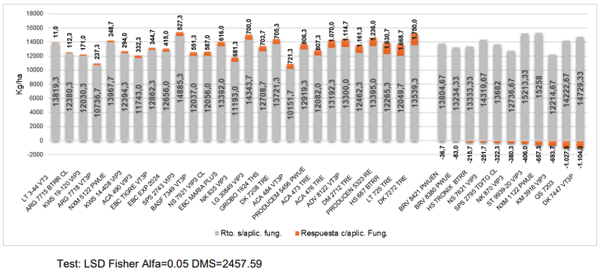 Gráfico 19. Rendimiento de grano y respuestas al control químico 