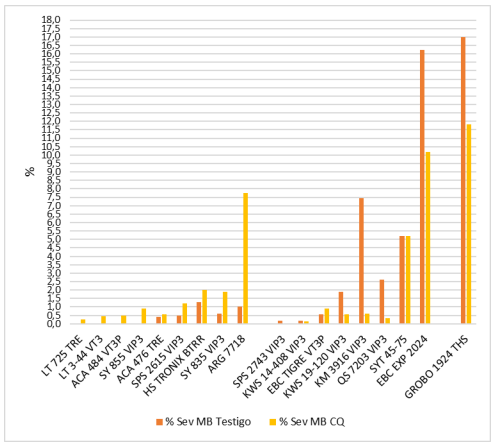 Gráfico 16. Severidad (%) de Mancha blanca 