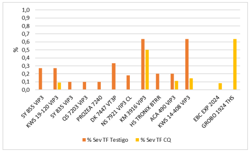 Gráfico 13. Severidad (%) de Tizón foliar