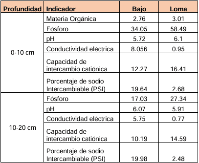 Respuesta del cultivo de soja (Glycine max) sobre un suelo sódico a la aplicación de ácidos húmicos - Image 1