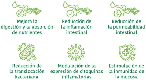 Los principales efectos de la aplicación temprana de la MI, a través de las vías mencionadas, son: