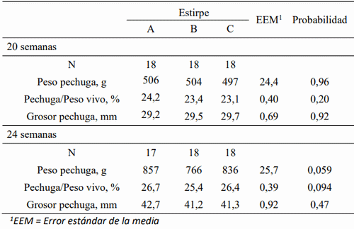 Aplicación de la ecografía para la valoración de la condición corporal de las gallinas reproductoras - Image 4