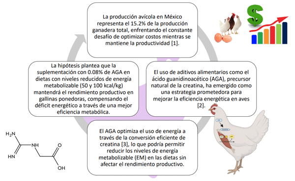 IMPACTO DEL ÁCIDO GUANIDINOACÉTICO EN EL DESEMPEÑO DE GALLINAS PONEDORAS ALIMENTADAS CON DIETAS REDUCIDAS EN ENERGÍA METABOLIZABLE