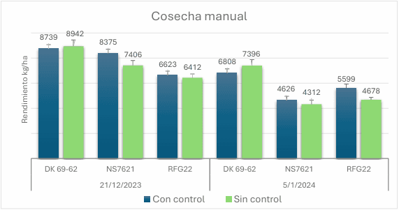 El control químico de la chicharrita del maíz ¿impacta en el rendimiento?. Experiencia durante el pico poblacional de 2024 - Image 5