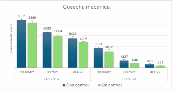 El control químico de la chicharrita del maíz ¿impacta en el rendimiento?. Experiencia durante el pico poblacional de 2024 - Image 6