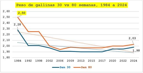 Mamá gallina - Image 6