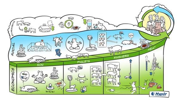 Carne de cerdo ecoeficiente: El papel de la genética en la reducción de las emisiones de carbono - Image 1