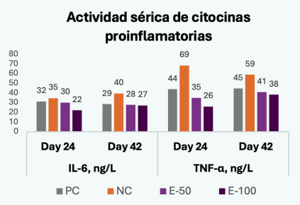 Gráfica 1. Efectos de la sustitución de la vitamina E 50% por ENTAN 100 en la dieta sobre la actividad citoquinas proinflamatorias en suero de pollos de engorde a los 24 y 42 días de edad. 