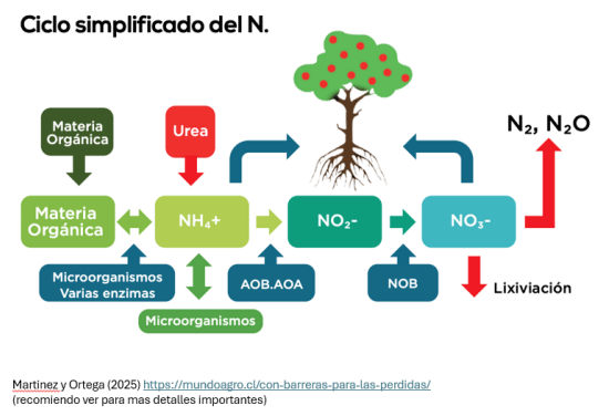 Figura 2. 