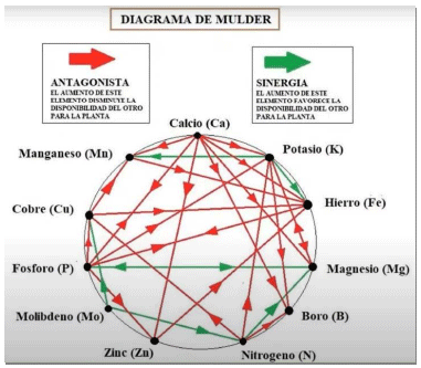 DIAGRAMA DE MULDER