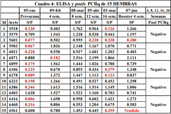 Respuesta inmune a una nueva vacuna activa apatogena (cepa G16X) contra el VPRRS en hembras y lechones en una granja comercial de ciclo completo - Image 4