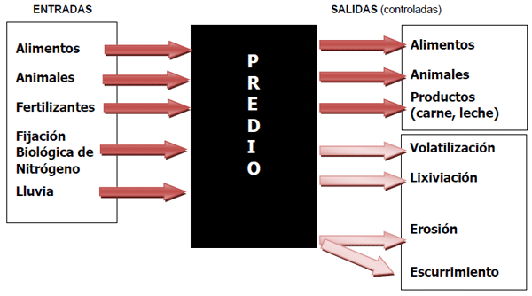 El Balance de Nutrientes en 36 Predios Comerciales del GIPROCAR II (FUCREA/INIA): Una Primera Aproximación al Proceso de Intensificación en Sistemas Agrícola-Ganaderos y su Potencial Impacto en el Ambiente. - Image 1