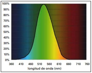 Entendiendo la luz en la Avicultura: Guía del uso de las luces LED y de otras fuentes de luz para ayudar a los productores de huevo - Image 2