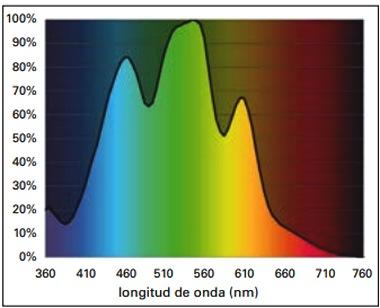 Entendiendo la luz en la Avicultura: Guía del uso de las luces LED y de otras fuentes de luz para ayudar a los productores de huevo - Image 1