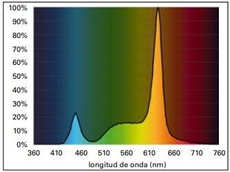 Entendiendo la luz en la Avicultura: Guía del uso de las luces LED y de otras fuentes de luz para ayudar a los productores de huevo - Image 6