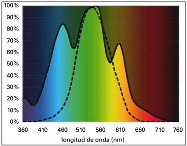 Entendiendo la luz en la Avicultura: Guía del uso de las luces LED y de otras fuentes de luz para ayudar a los productores de huevo - Image 3