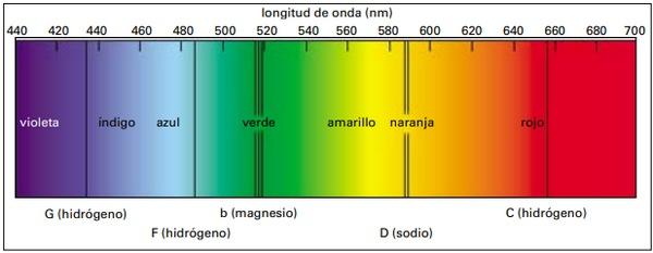 Entendiendo la luz en la Avicultura: Guía del uso de las luces LED y de otras fuentes de luz para ayudar a los productores de huevo - Image 1