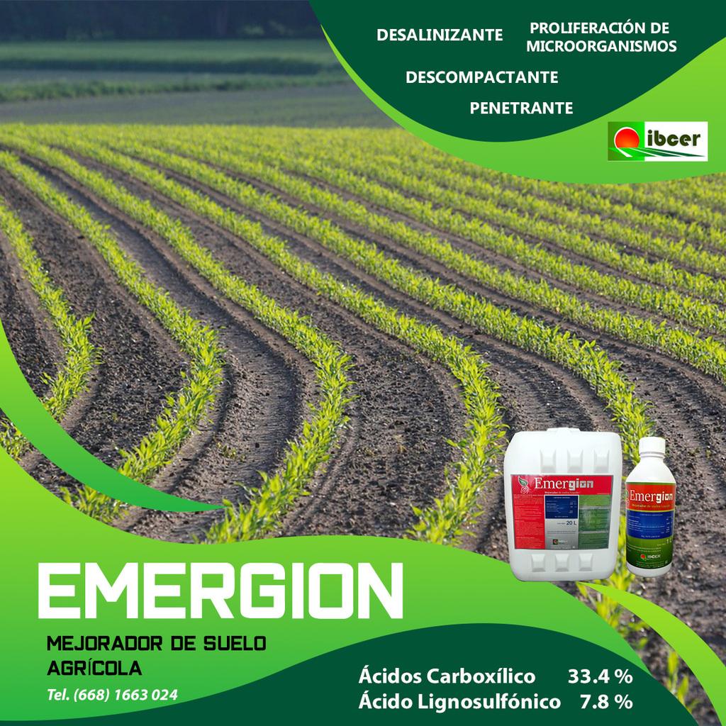 Mejorador de Suelos Agrícola Con Ácidos Carboxílicos y Lignosulfónico  - 1