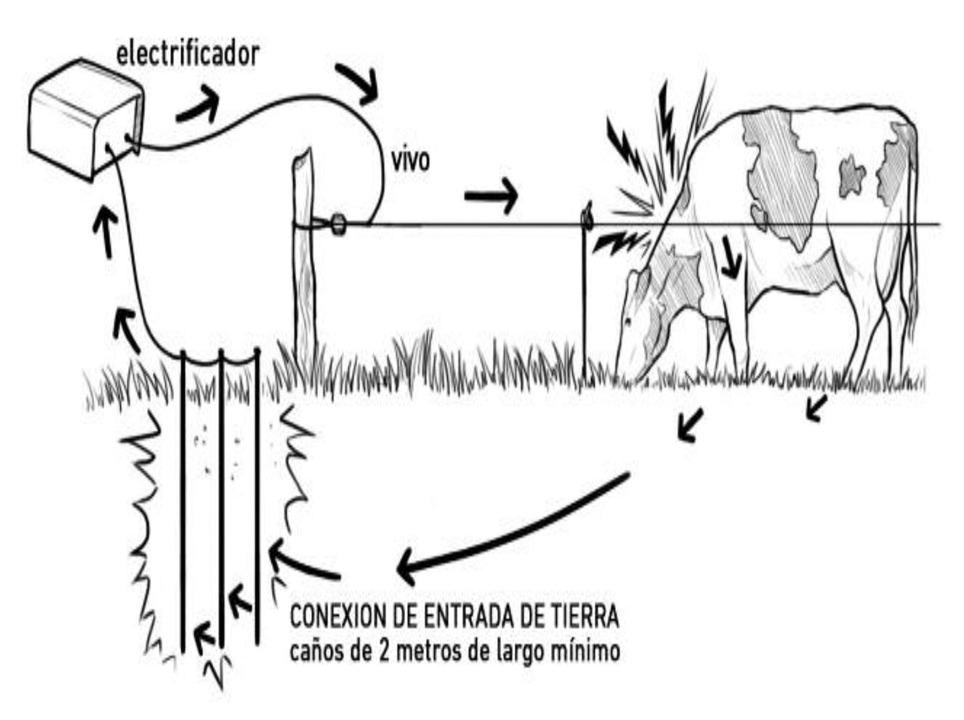 ALAMBRADO ELECTRICO ¿POR QUÉ HAY QUE PRESTAR ATENCIÓN A LA ENTRADA DE TIERRA? - 1