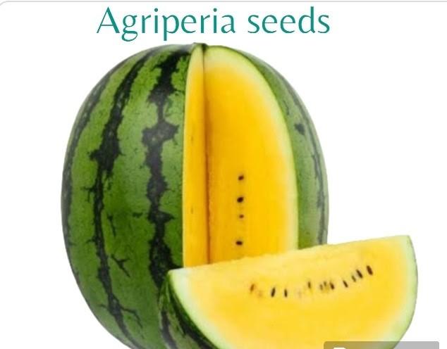 Agriperia seeds - 1