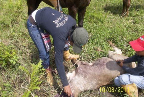 TRABAJO DE LLANO