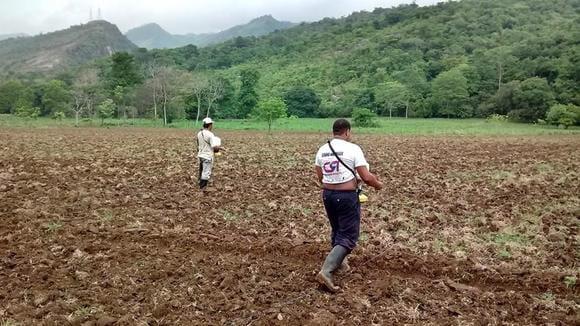 Proceso de Siembra (2)