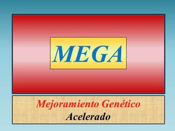 MEGA