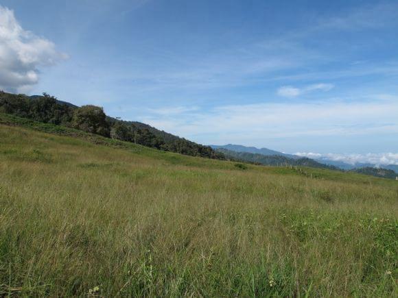 TOPOGRAFIA DE LA FINCA