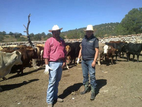 pruebas de hato, movilizacion y exportacion