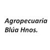 Agropecuaria Blua Hermanos S.A 