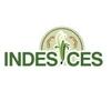 INDES-CES