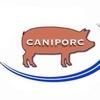 CANIPORC