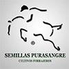 Semillas Purasangre