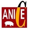 Asociación Nacional de Industrias de la Carne de España (ANICE)