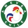 Amevea Chile