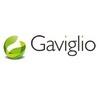 Gaviglio Comercial SA