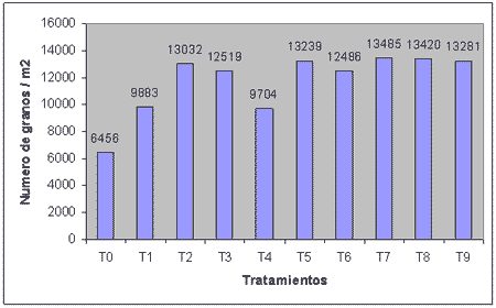 Evaluación del efecto de un fertilizantes foliar nitrogenado sobre el rendimiento, la calidad y la eficiencia de uso del nitrógeno en trigo - Image 5